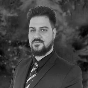 Visa Litigation South Africa